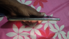 Camon 40